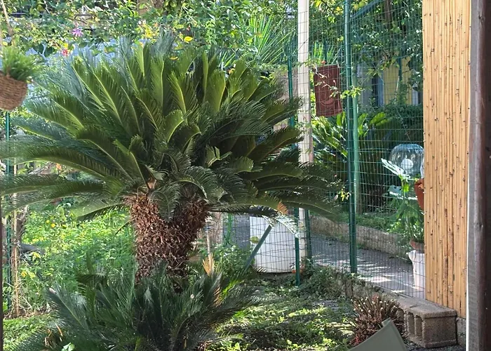 Nonna Alba casa vacanza